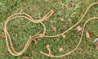 guy ropes for camping tarp